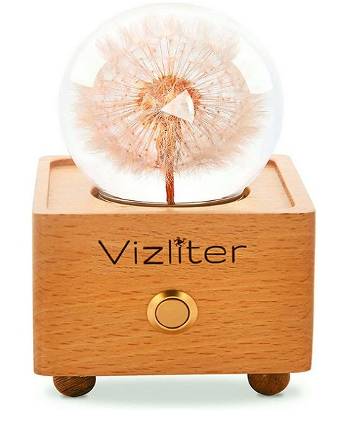 Natural Flower with Wood Base Bluetooth Speaker