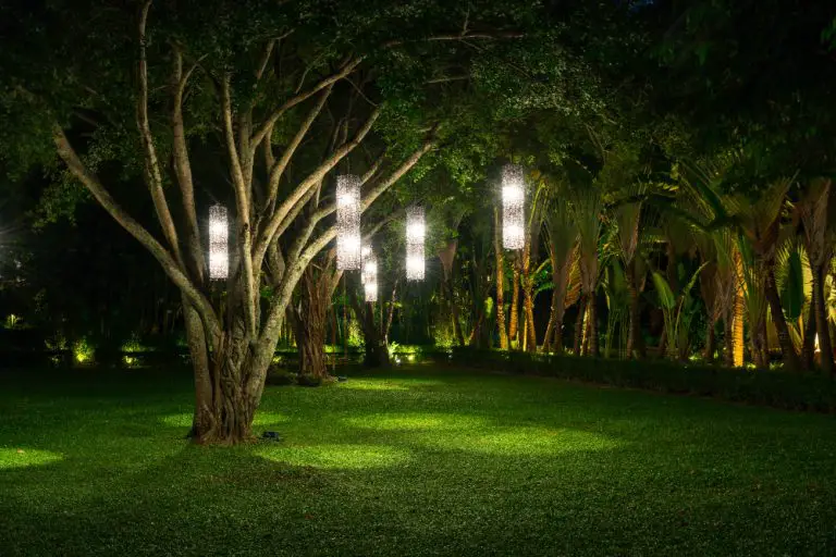 Outdoor Tree Lighting Ideas