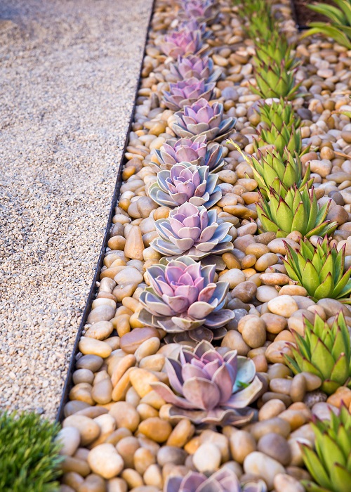 10 Rock Garden Ideas for a Stunning and Low-Maintenance Landscape