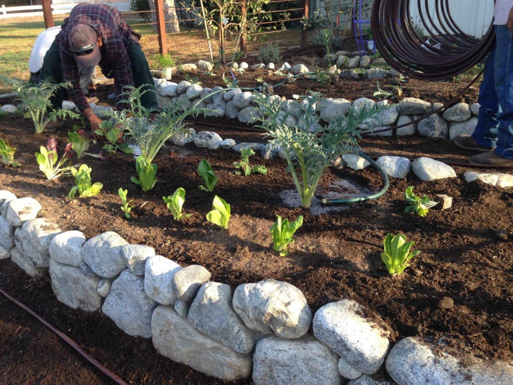 10 Rock Garden Ideas for a Stunning and Low-Maintenance Landscape