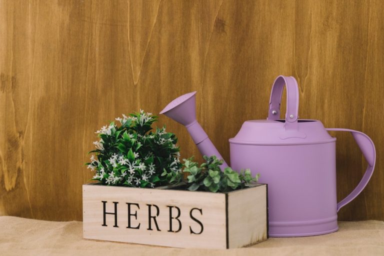 herb garden ideas