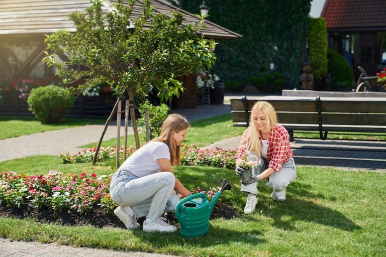 small yard garden ideas