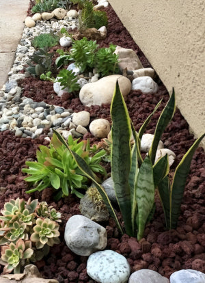 10 Rock Garden Ideas for a Stunning and Low-Maintenance Landscape