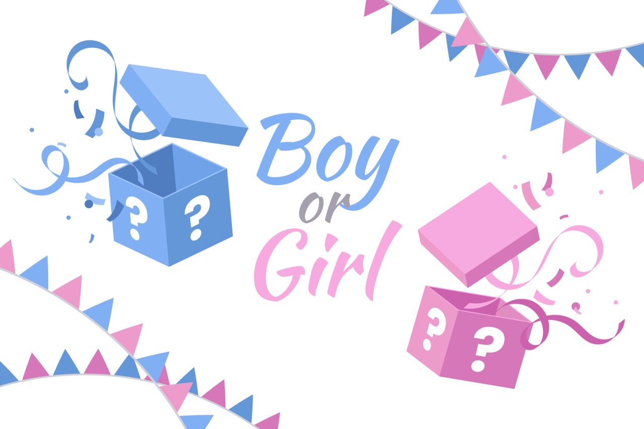 Gender Reveal Gift