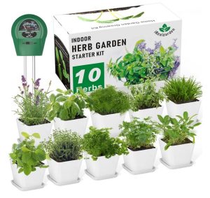 DIY Herb Garden Kit