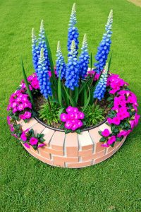 Image Prompt:
Circular raised bed built with bricks, tall blue delphiniums in the middle, and pink petunias around the edge.