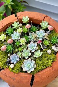 Broken Pot Fairy Garden