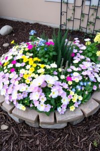 Stone-Edged Garden Box