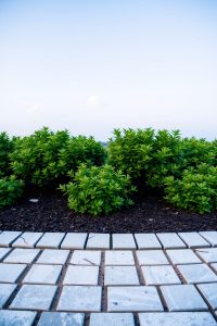Concrete Paver Edging