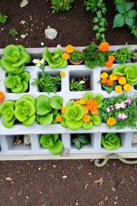 Raised Garden Bed