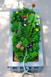 Straw Bale Garden Bed