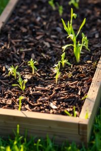No-Dig Garden Bed