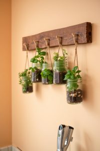 Image Prompt: A row of clear mason jars filled with soil and herbs, hanging neatly from a wooden plank on a kitchen wall.