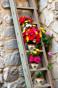 Ladder Shelf Garden