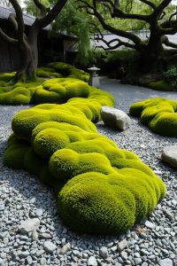 Moss and Stone Garden
