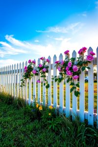Add a Classic White Picket Fence