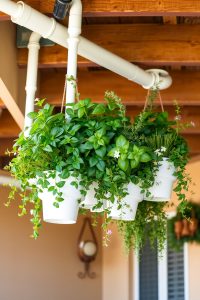 Hanging Gutter Garden