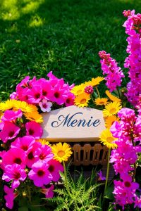 A peaceful backyard flower garden with bright blooms in a circle, surrounding a small name stone and wooden bench.