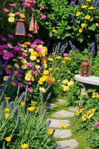 Image Prompt: A full, slightly overgrown garden corner with layered flowers, herbs, and a hidden stone path.