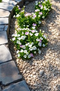 Image Prompt:
Rock garden with a curved border made of flat stones, flower bed inside the border, and gravel filling the outer space.
