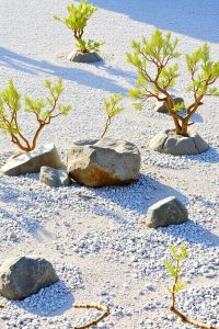 Hills and Islands Rock Garden
