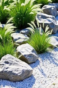Rock Garden with Grass Tufts