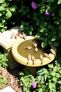 Bird Feeders and Birdbaths