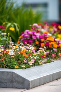 Concrete Curb Edging