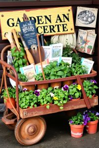 Mobile Cart Garden Center