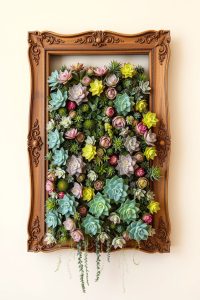 Succulent Wall Art