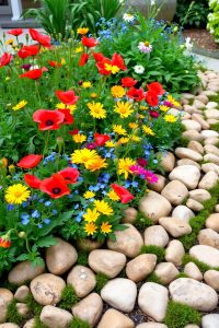 Make a Garden Border with Rocks