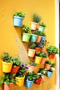 Wall-Mounted Planters