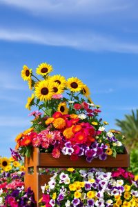 Tiered Flower Bed
