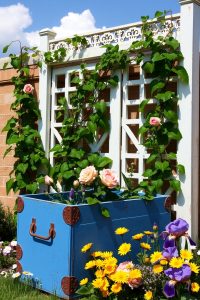 Image Prompt: A blue-painted garden box with a white trellis behind it, green vines climbing up, and flowers at the base.