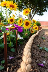Rope or Twine Border