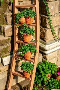 Ladder Vertical Garden