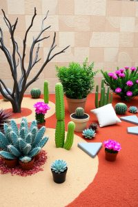 Cactus and Succulent Garden