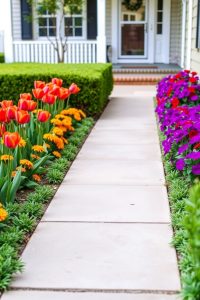 Front Yard Flower Garden