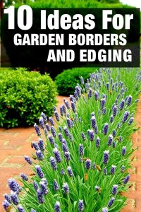 Living Plant Edges