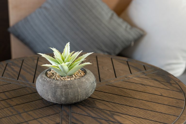 Round Coffee Table Decor Ideas