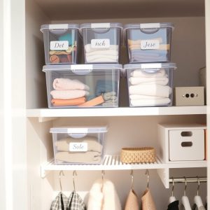 Use Clear Bins for Top Shelf Storage
