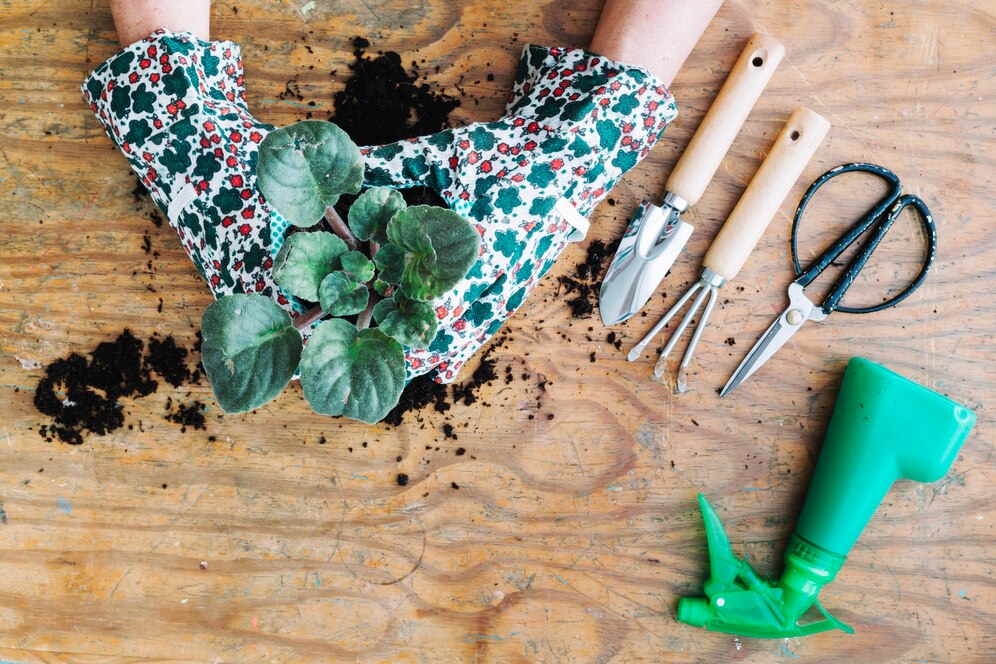 do it yourself garden ideas