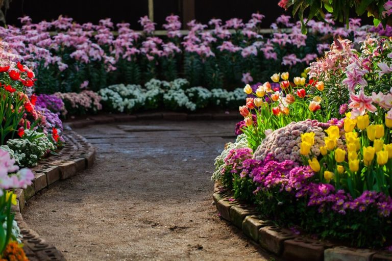 garden ideas edging