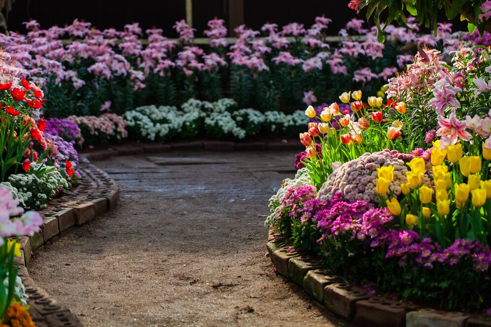 garden ideas edging