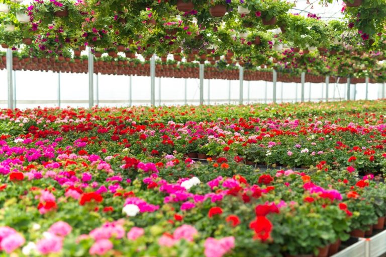 Garden Flower Bed Ideas