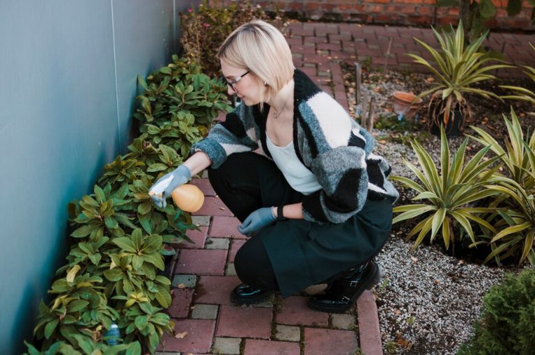 contemporary garden edging ideas