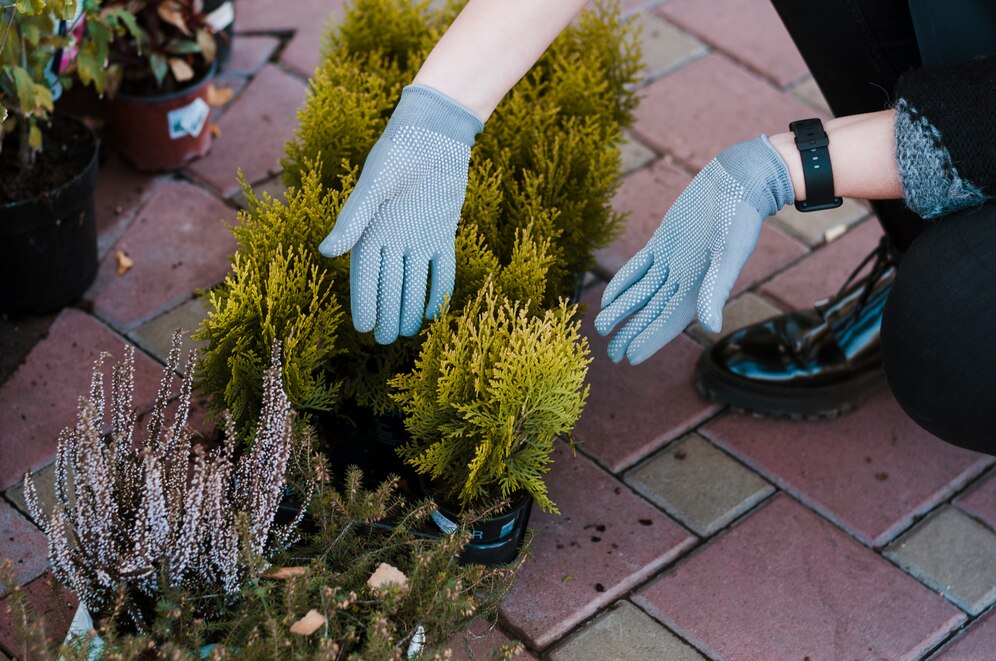 inexpensive garden edging ideas