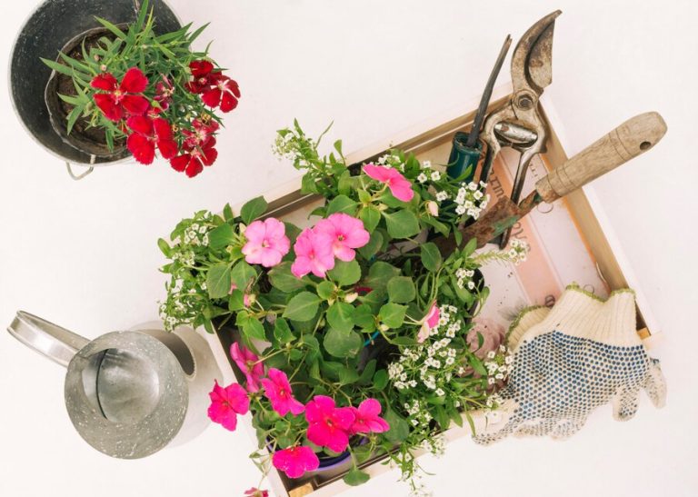 garden arrangements ideas