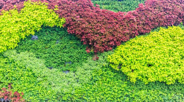 vertical garden ideas