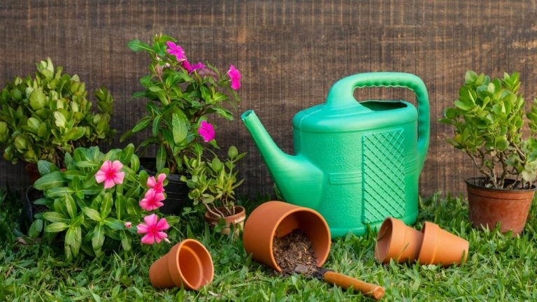 Simple Garden Ideas